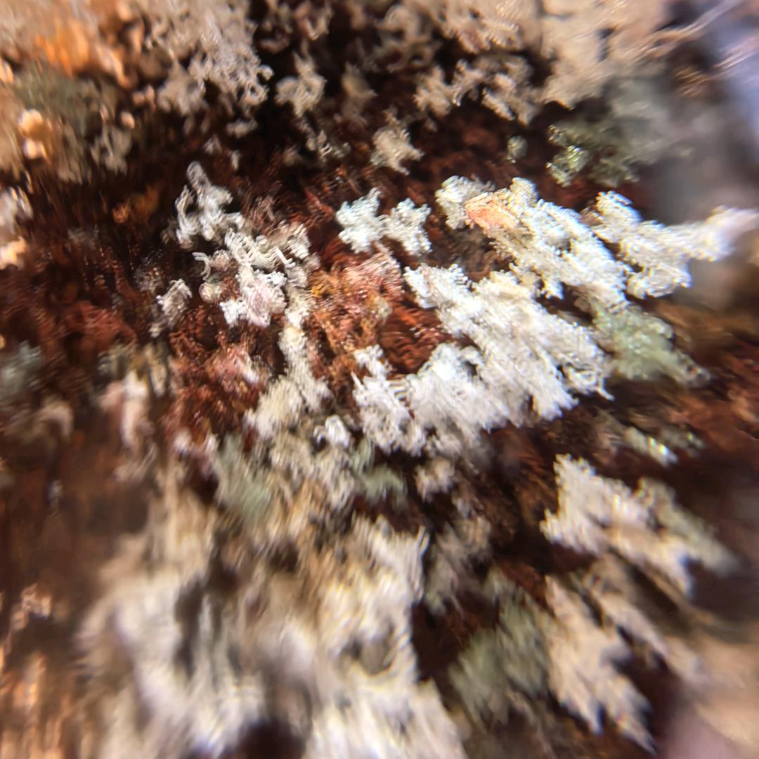 等风也等你