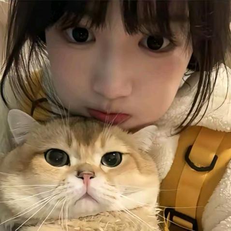 小兔子乖乖ᥫᩣ