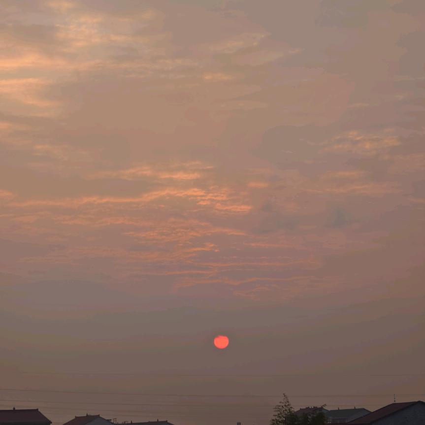 橘外人