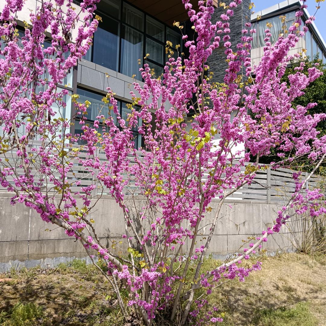 🥀᭄一路生花꧔ꦿᩚ💕