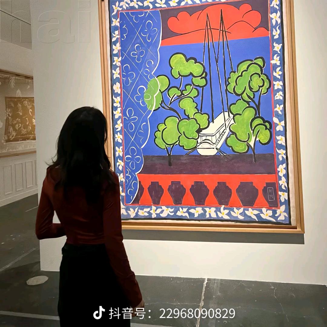 招小招