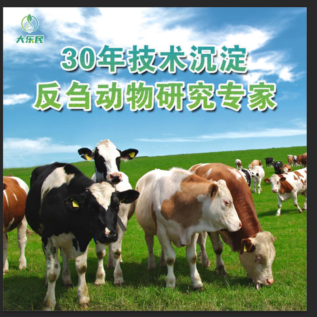 佳佳益牛羊饲料工厂店