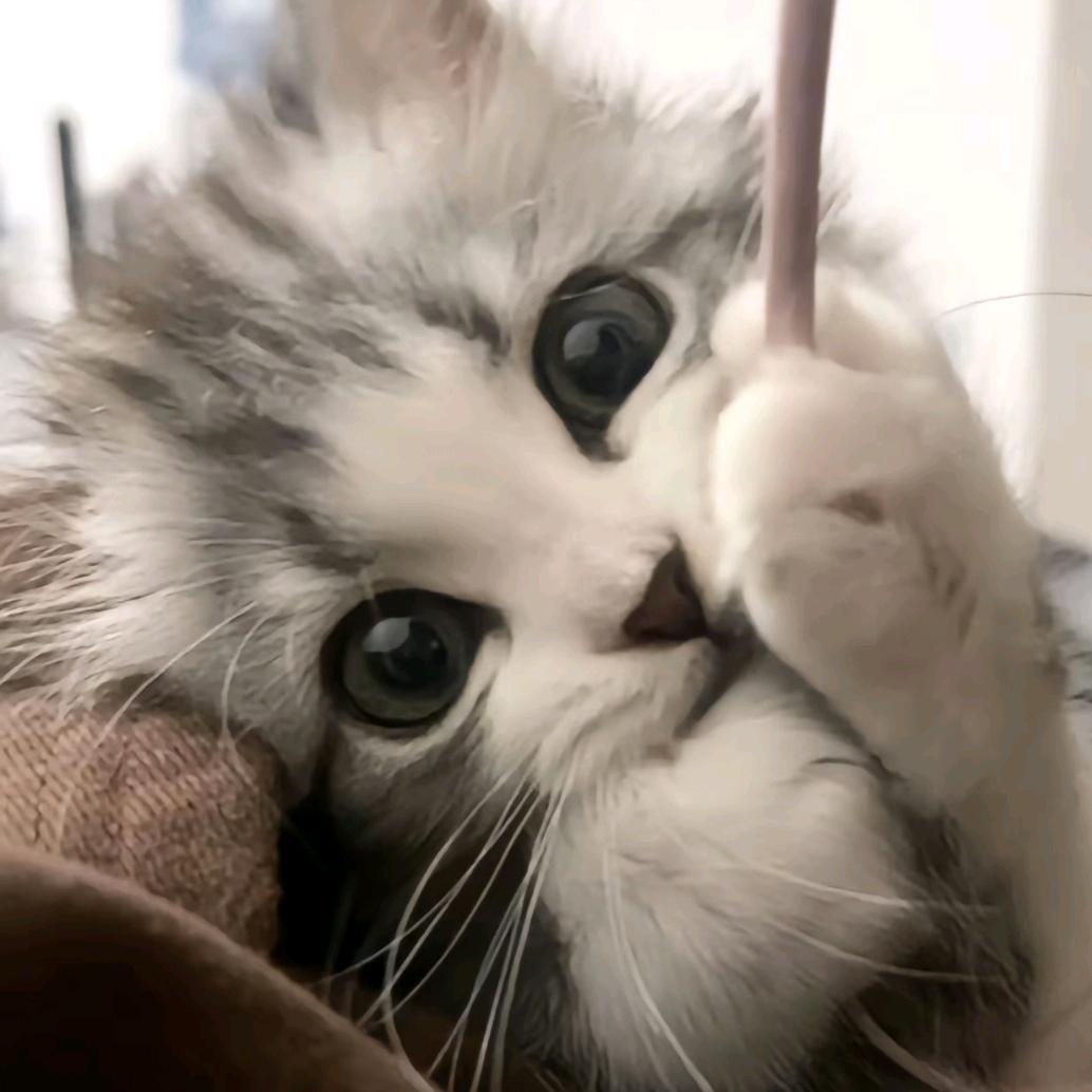 小u.