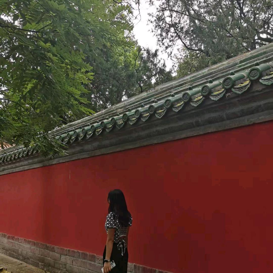 快乐的小吃货