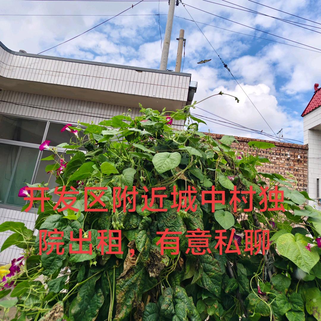 梅红