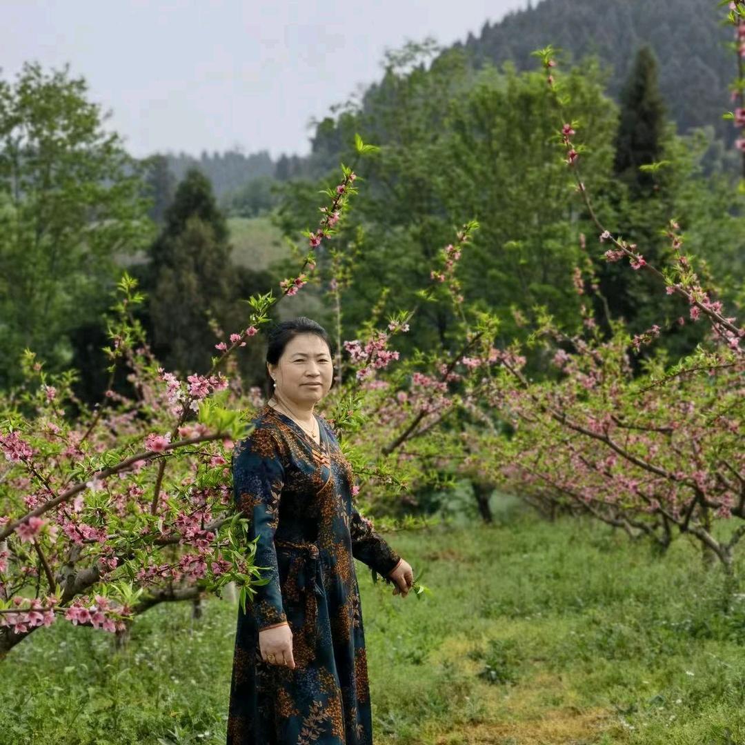 浪漫花开