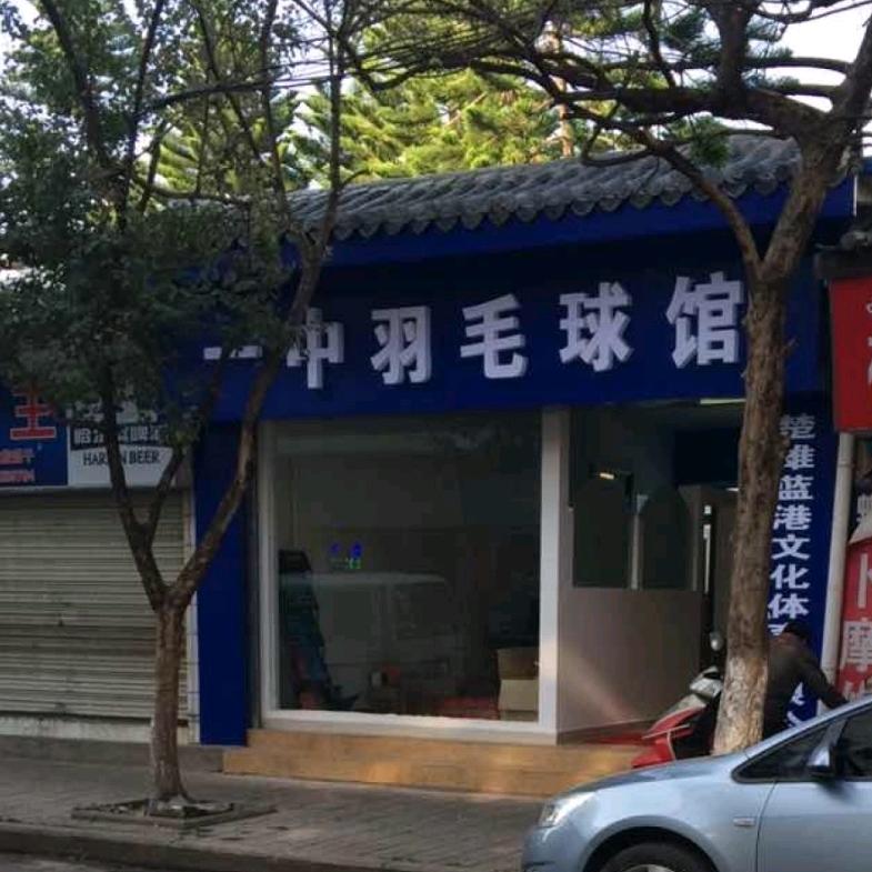 一中羽毛球馆王教练