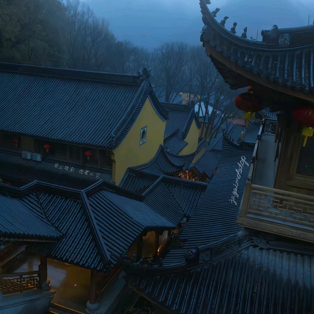桃李之念