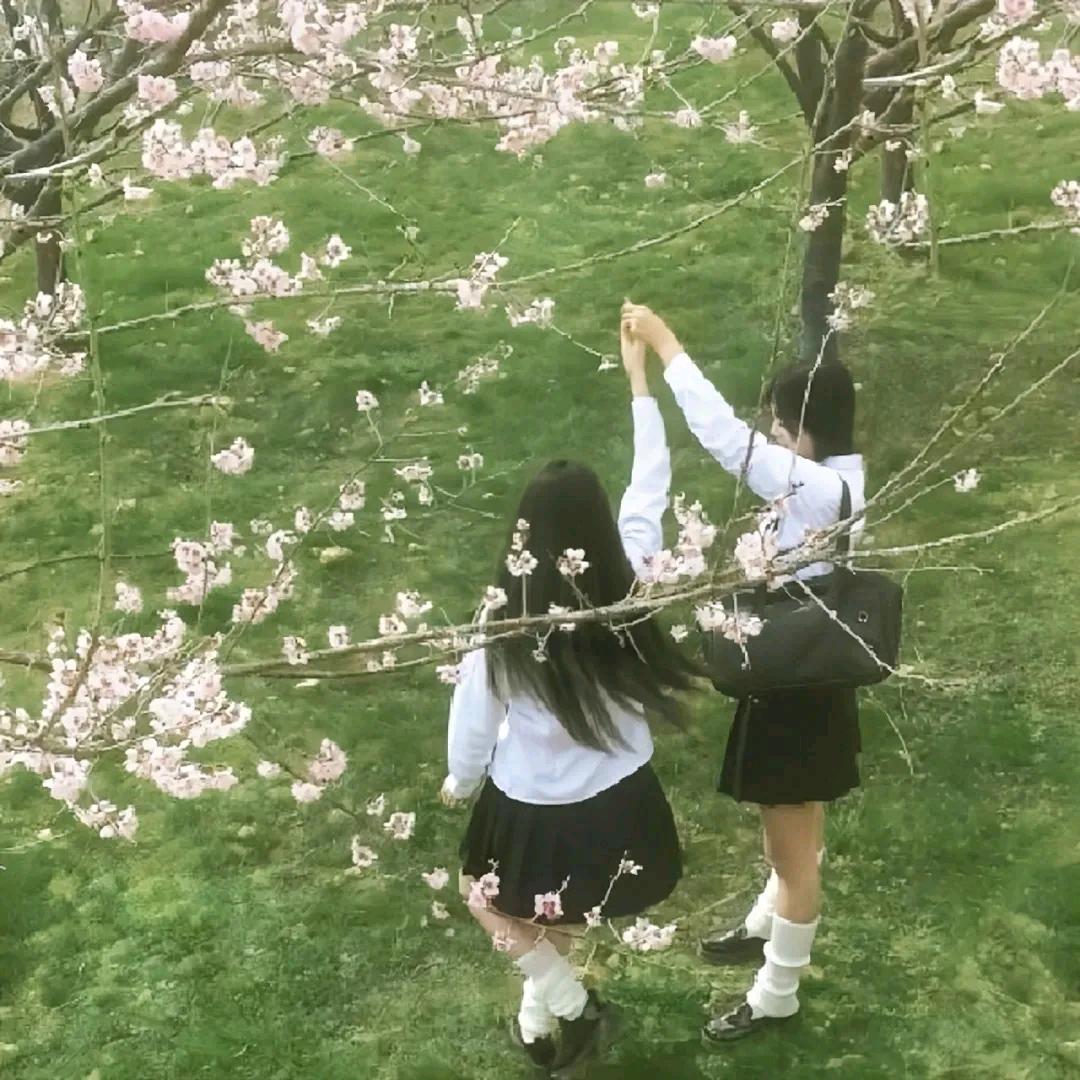 失Y症