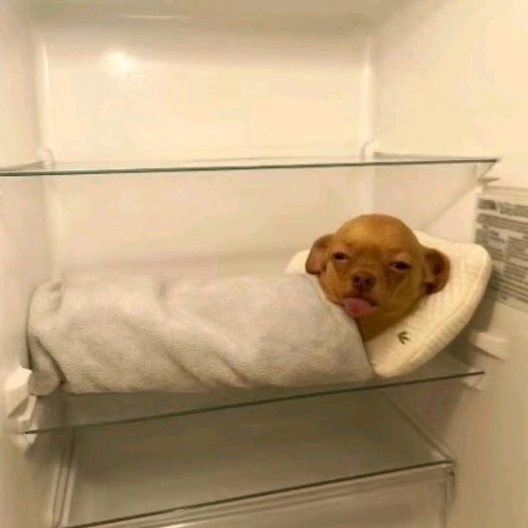 ˎˊ˗恰口奥立奥