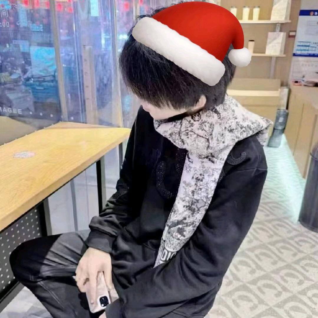 彡枫_辰乄