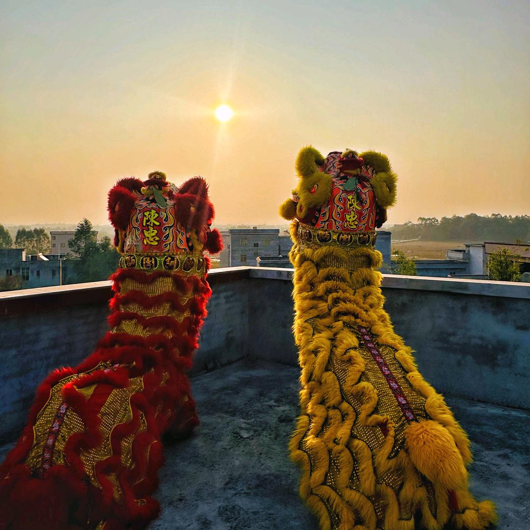 平南陈忠龙狮团