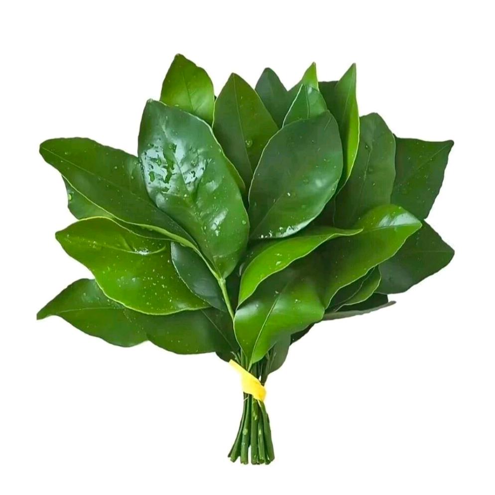 曾不耶