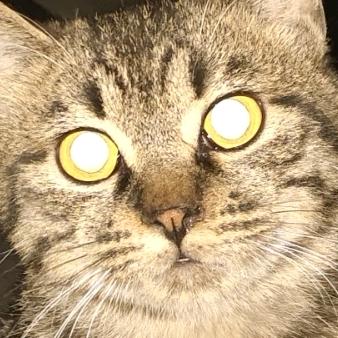 哇哦