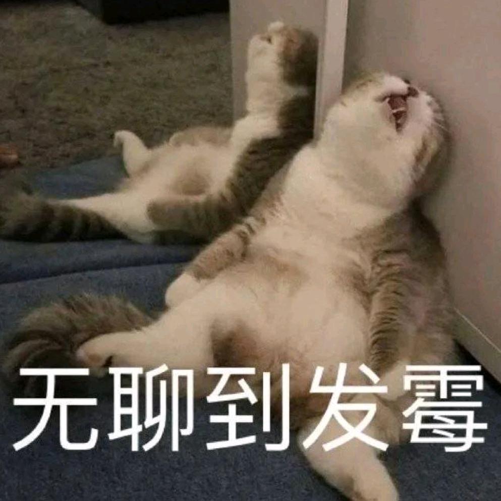 小柒（双人跑刀）