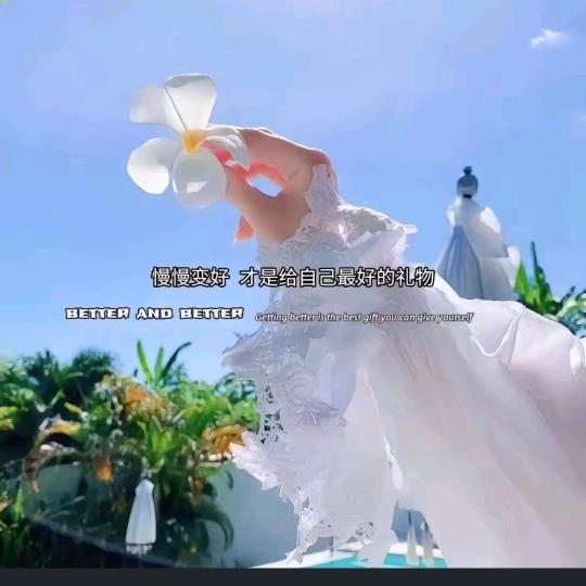 宁陵县南关路西王杰车行