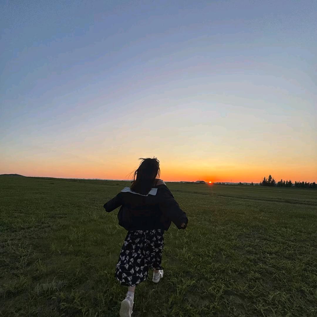 🌻🌻