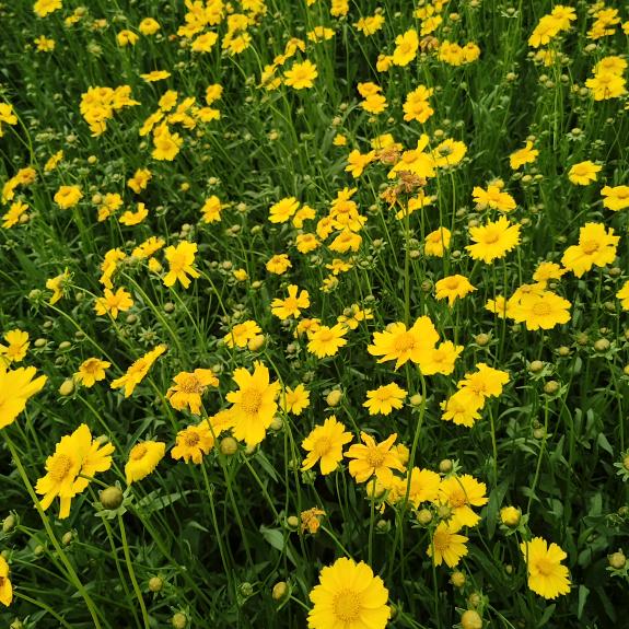 <忘掉过去，过好自己>