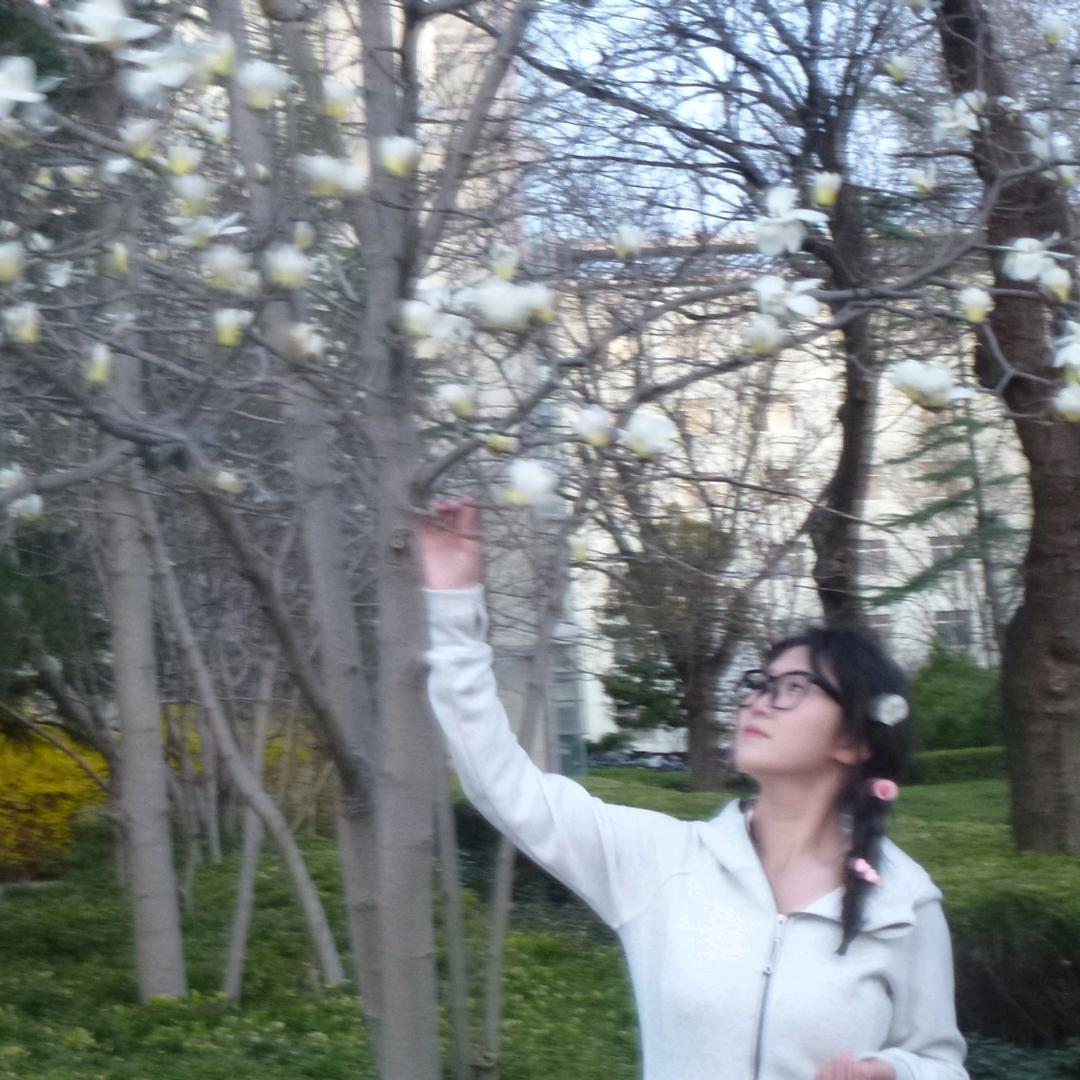 鲤鱼越龙门