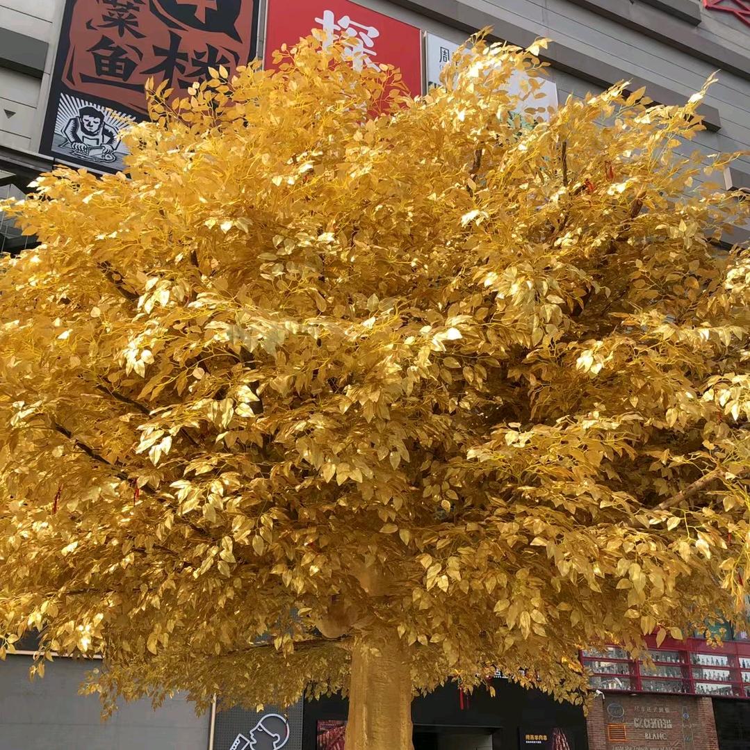 无名先生