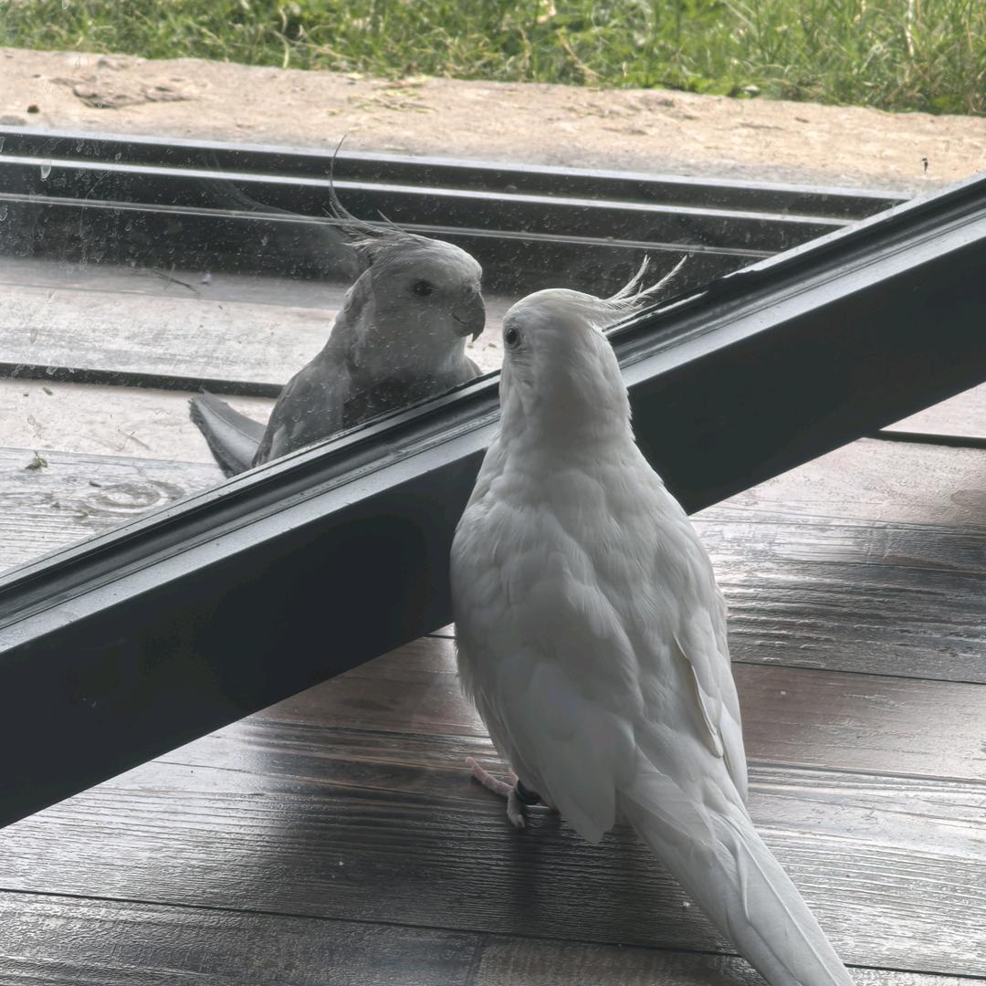 黎明曙光照耀你