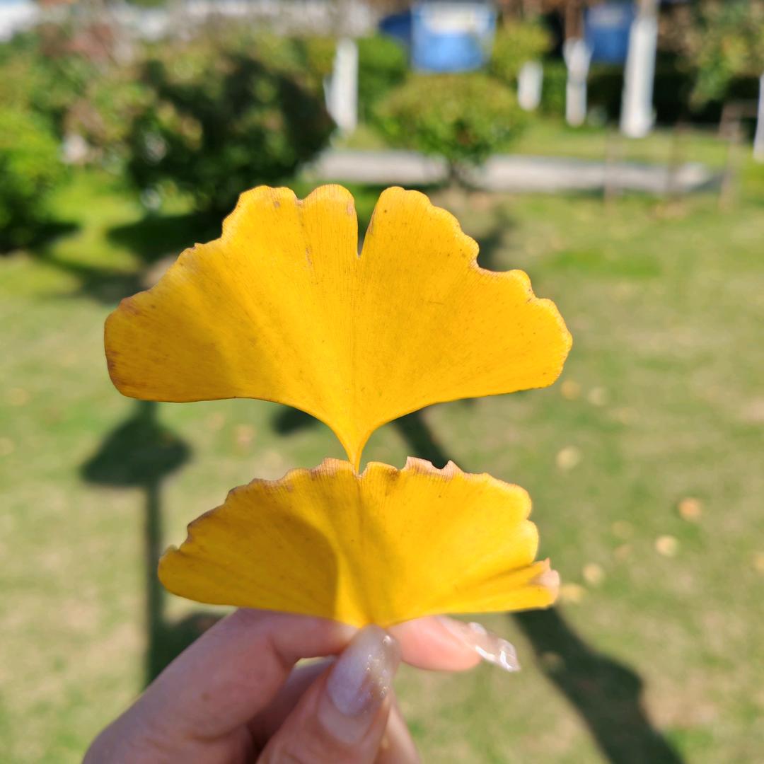 几点
