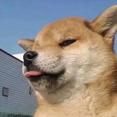 方与圆