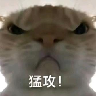e路向乾