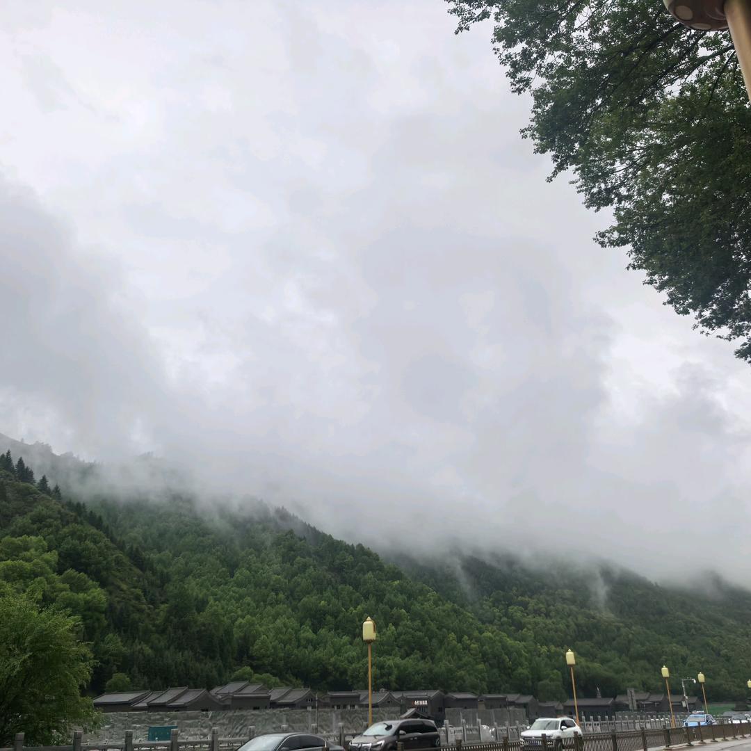 媛媛