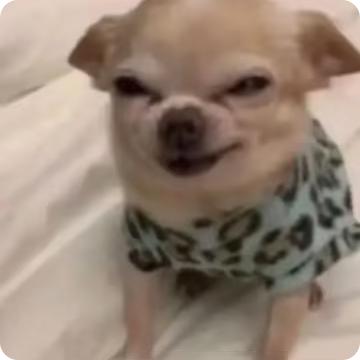 lcl的破忒头