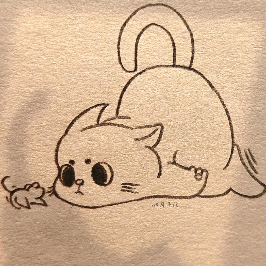 不吃鼠的猫