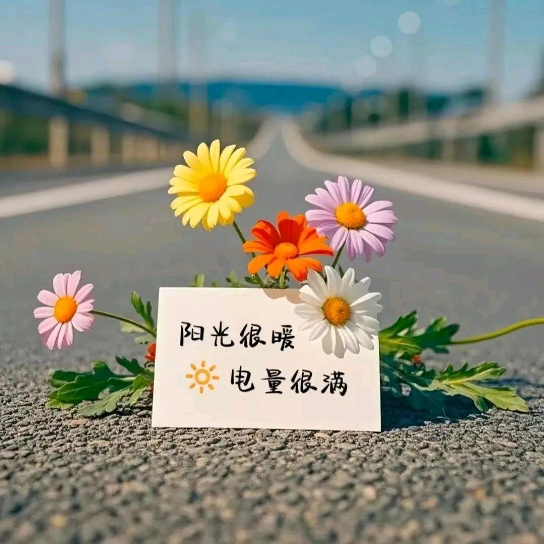 追光而遇，沐光而行