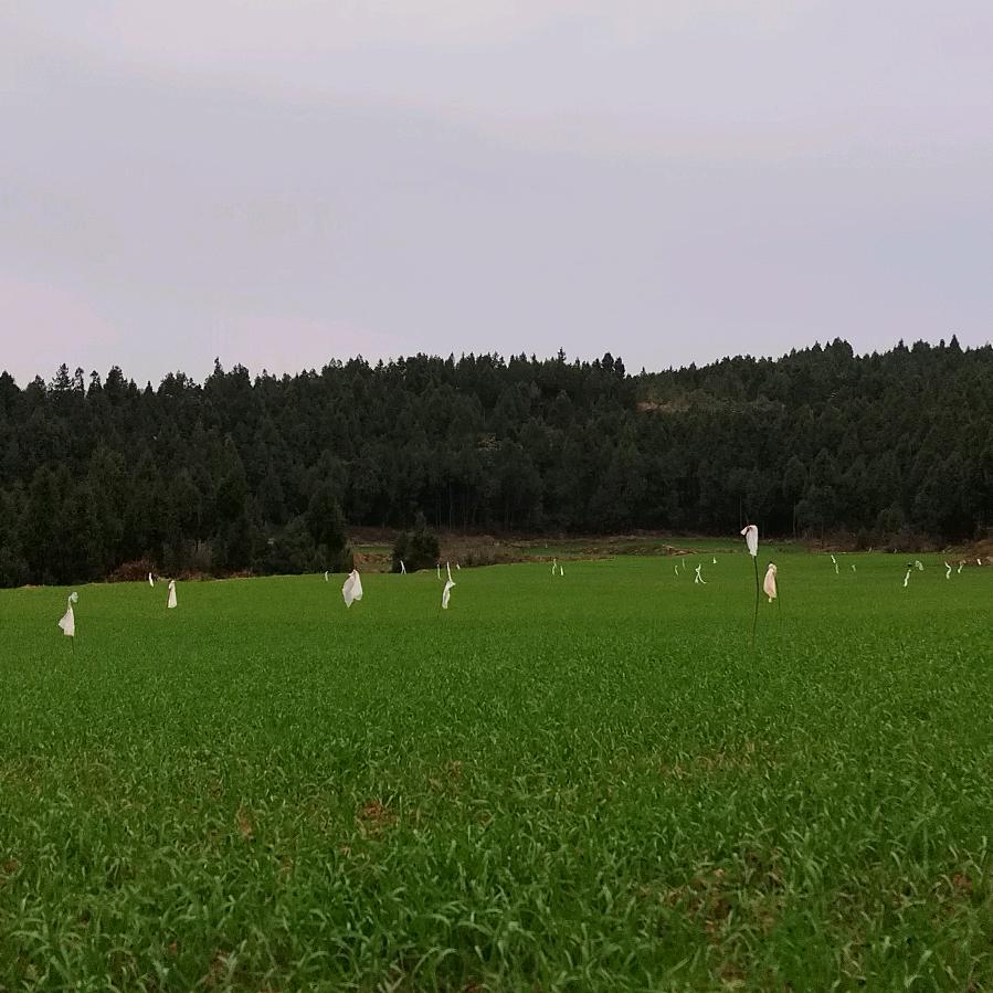 时空驿站