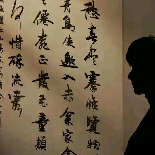 酷影逸尘