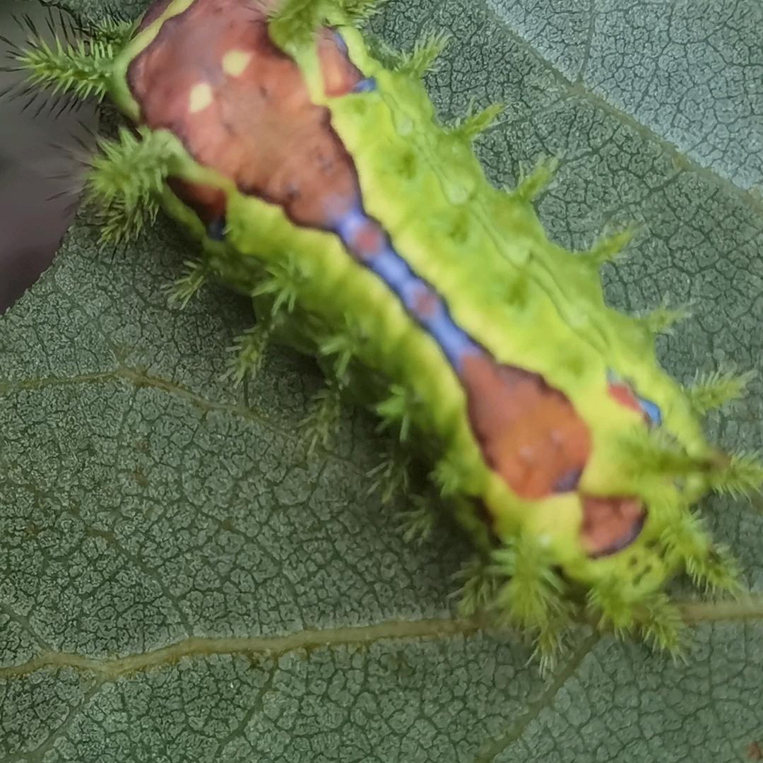 a㞮孞