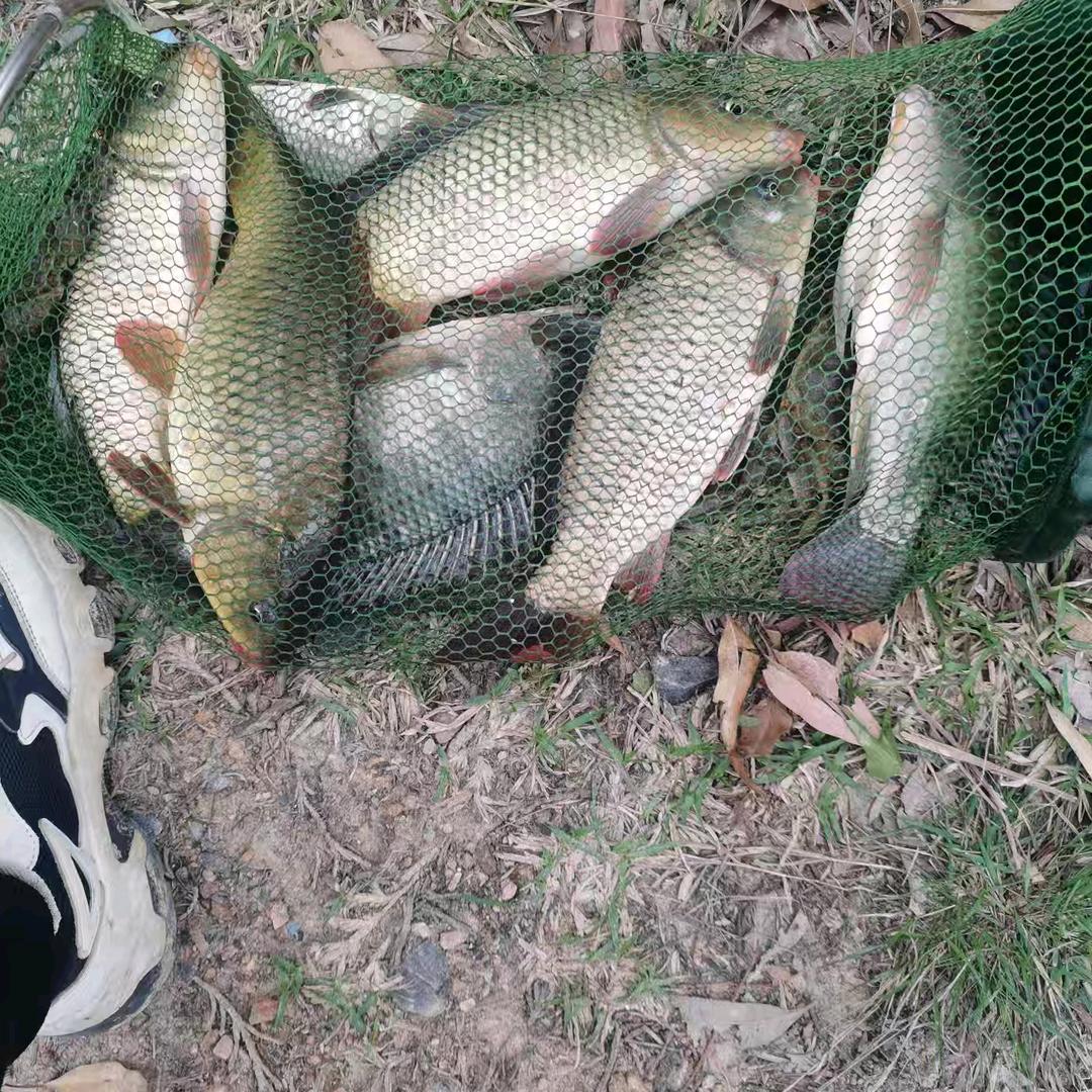 高价回收各种报废车