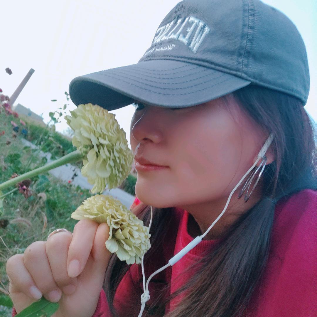 赵赵