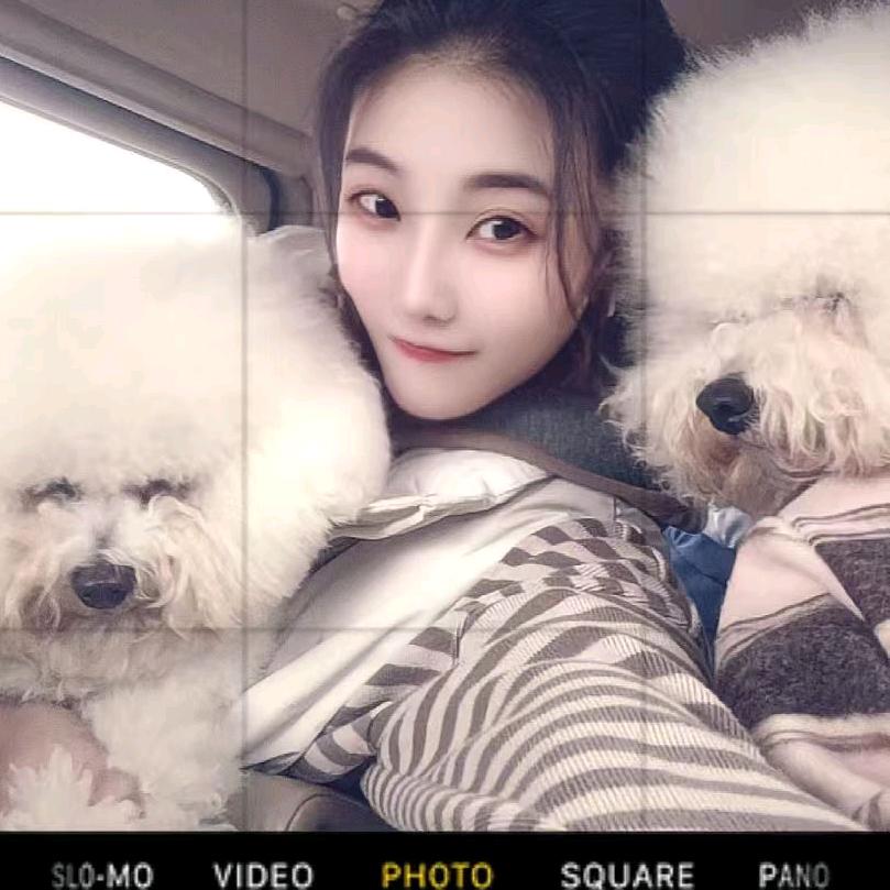 毛孩子托儿所