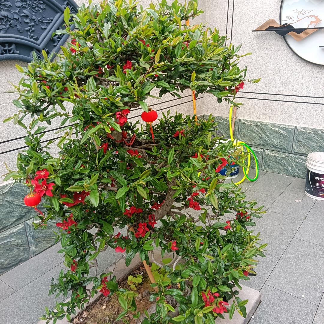 浪子回头金不换