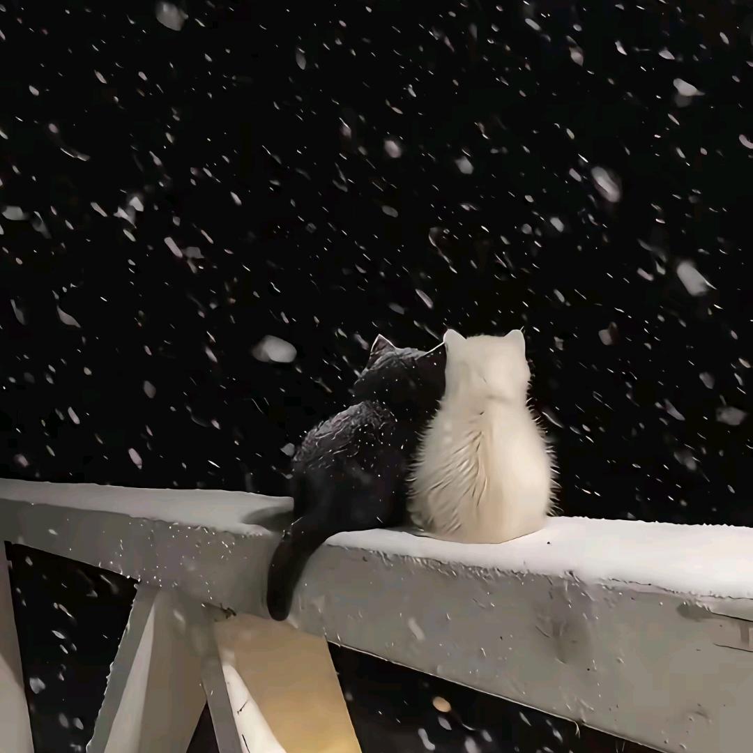 没有人帮我，我靠自己