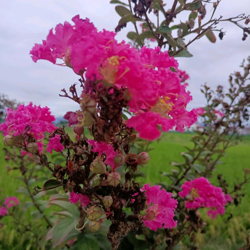 @静心❤️
