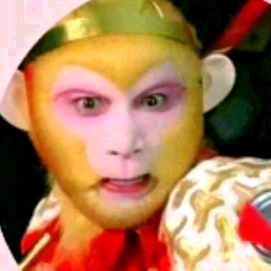 ╰_╯美猴王(◔◡◔)