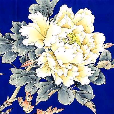 荣荣