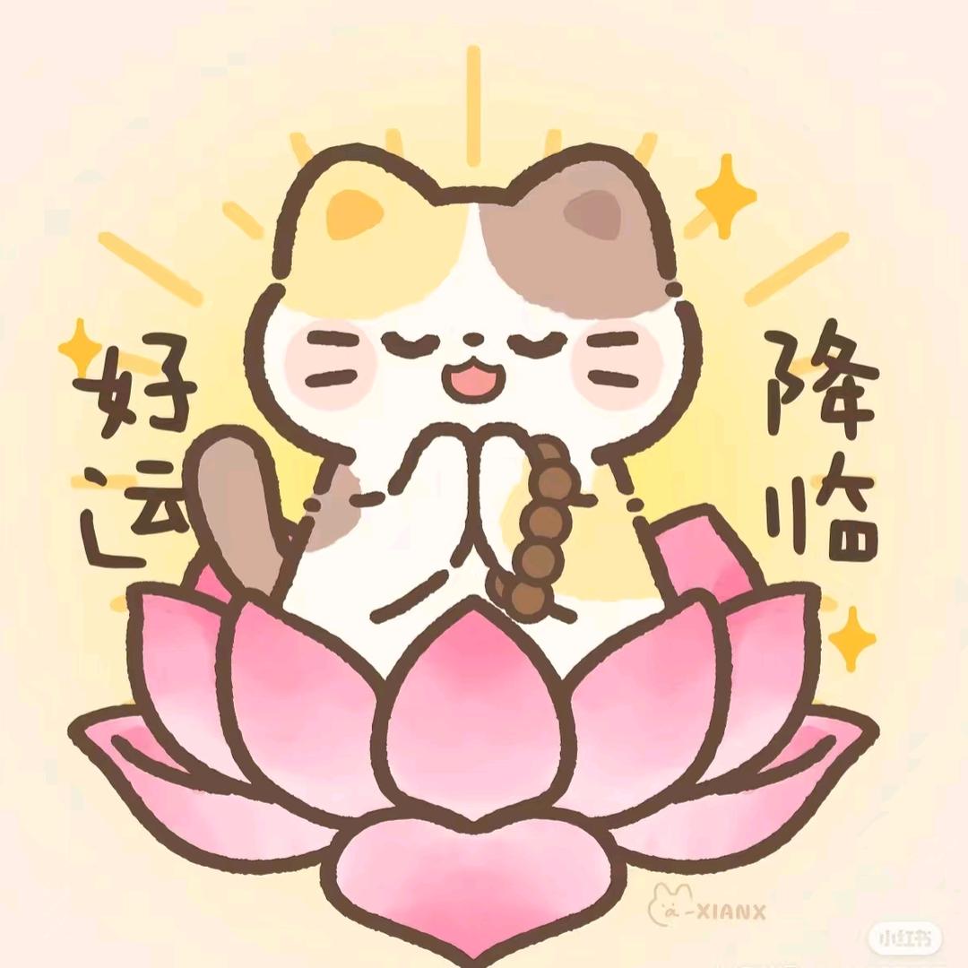 ✨鲤鱼✨
