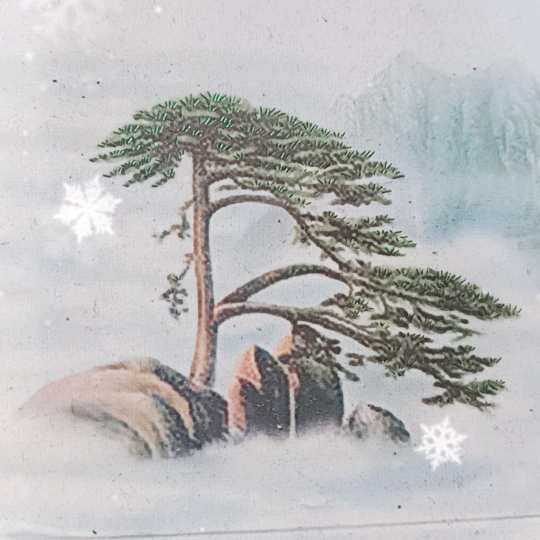 七彩虹用户963345