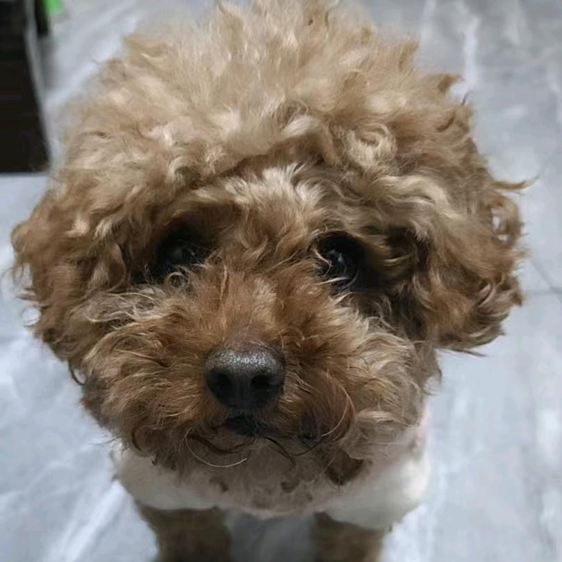 可乐🐩🐩🐩