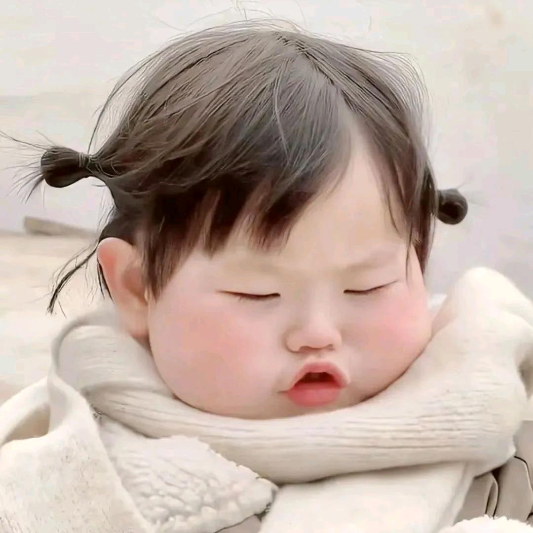 小面包🌱