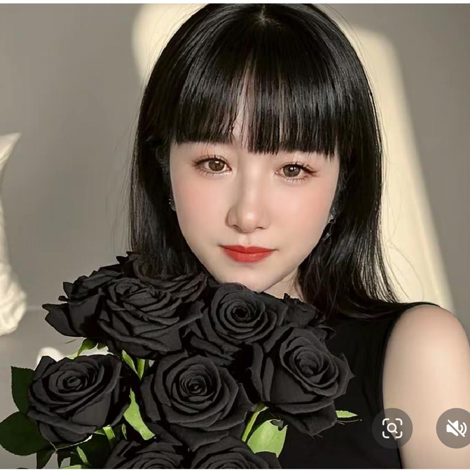 沈彩飞扬