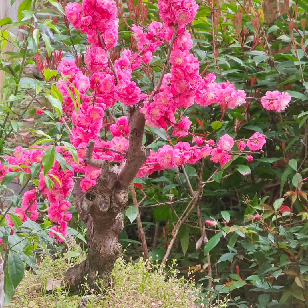 一个人好