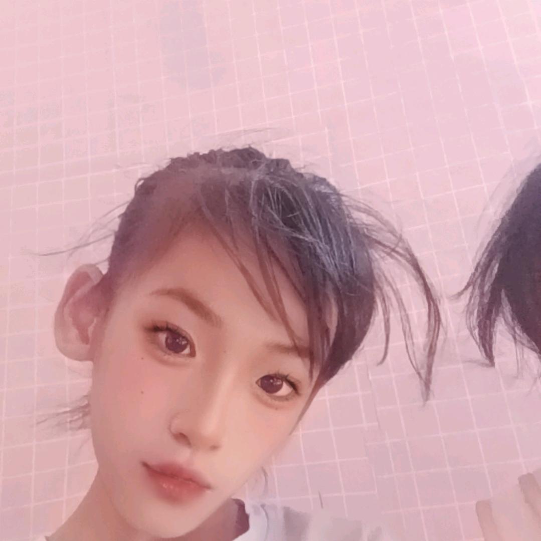 小凤凰